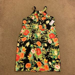 Floral Print Sleeveless Dress (Plus)